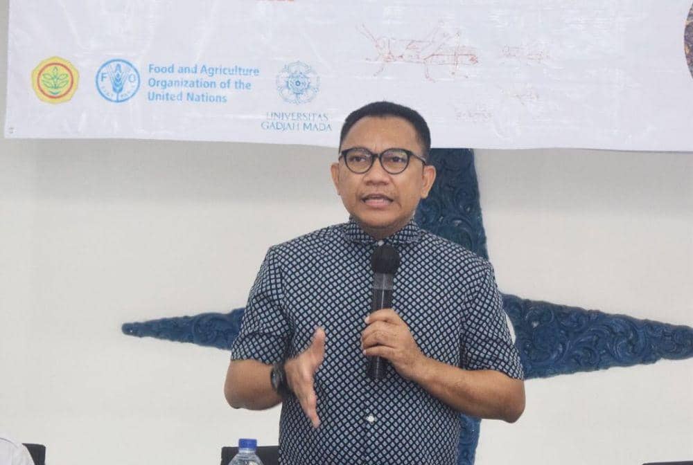 Anggota DPR RI Fraksi PDIP, Ansy Lema (Instagram.com/ansy.lema)
