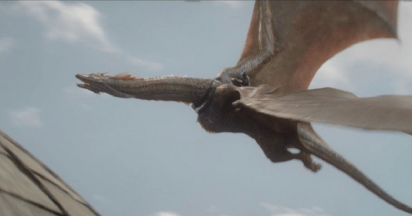 Sunfyre naga House of the Dragon (dok. HBO/House of the Dragon)