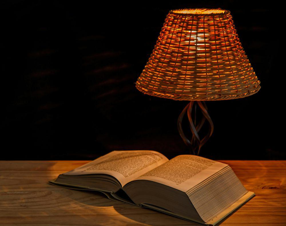 buku kamus (paxels.com/Pixabay)