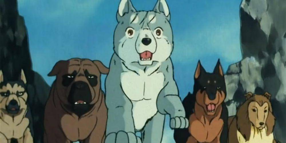 Silver Fang (dok. Toei Animation/Silver Fang)