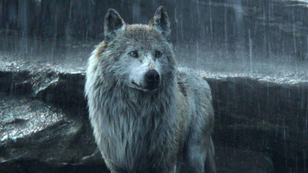 Lupita Nyong'o dalam film The Jungle Book. (dok. Walt Disney Studio Motion Pictures/The Jungle Book)