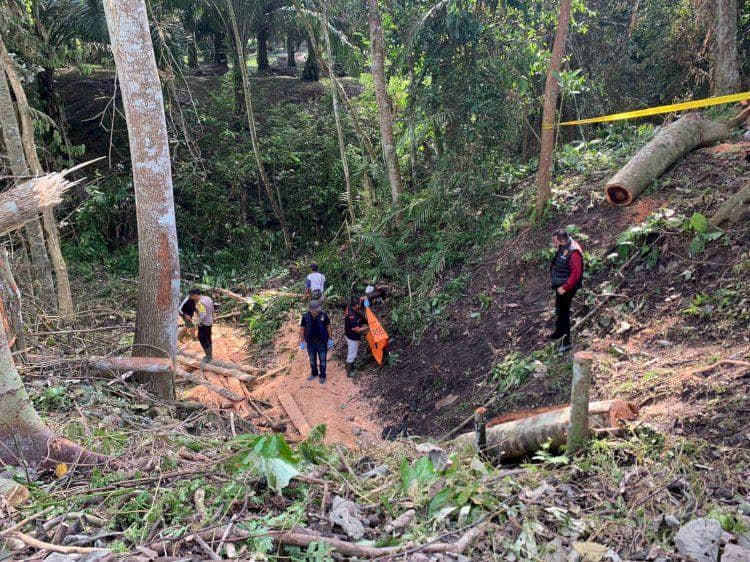 (Kerangka Manusia Ditemukan di Kebun, Rupanya Orang Hilang Sejak Maret) IDN Times/istimewa
