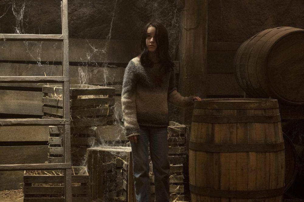 seri The Haunting of Hill House (dok. Netflix/The Haunting of Hill House)