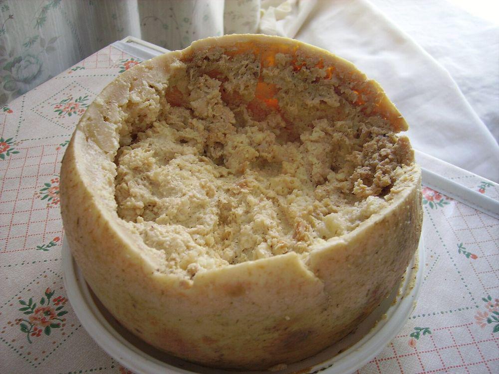 Casu Marzu Jadi Keju Paling Berbahaya di Dunia, Kok Bisa?