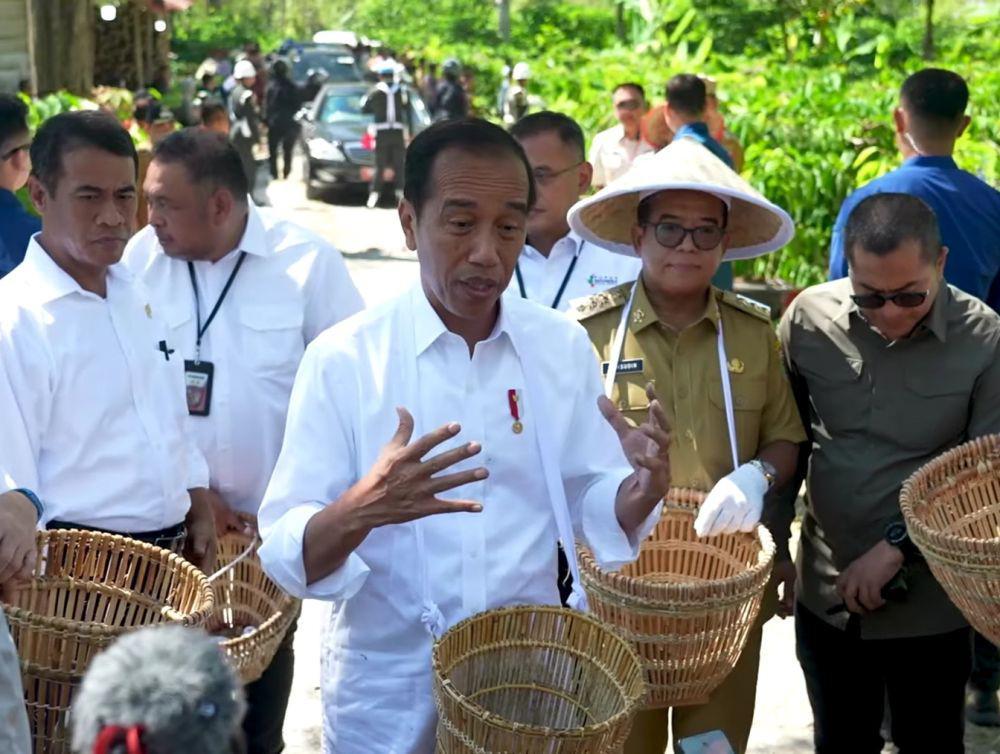 Panen Kopi Lampung Barat, Jokowi Tekankan Produktivitas dan Hilirisasi