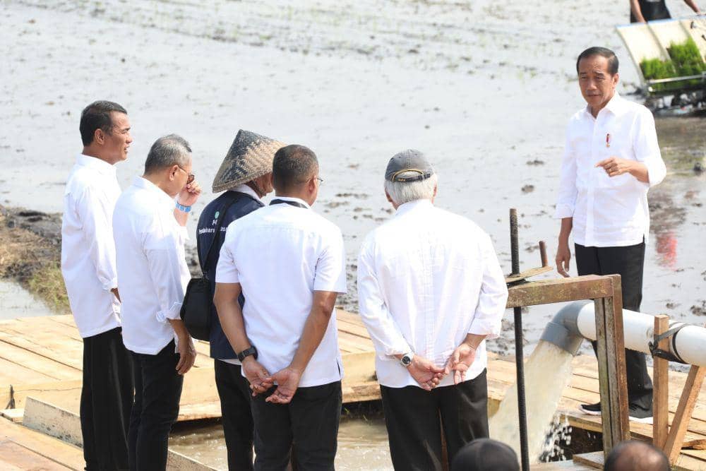 Presiden Joko Widodo (Jokowi) meninjau pompanisasi Kementan di Desa Bandan Hurip, Kecamatan Palas, Kabupaten Lampung Selatan, Kamis (11/7). (dok. Kementan)