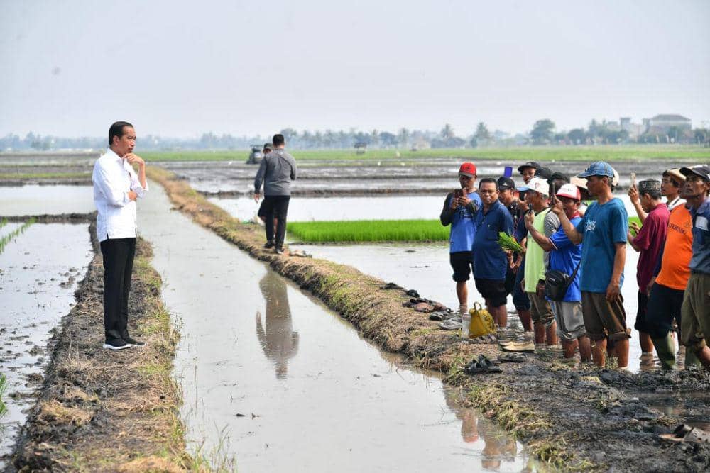 Presiden Joko Widodo (Jokowi) meninjau pompanisasi Kementan di Desa Bandan Hurip, Kecamatan Palas, Kabupaten Lampung Selatan, Kamis (11/7). (dok. Kementan)