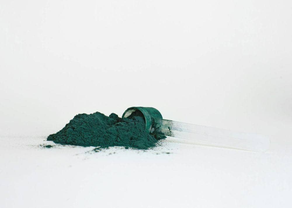ilustrasi bubuk spirulina (pexels.com/Supplements On Demand)