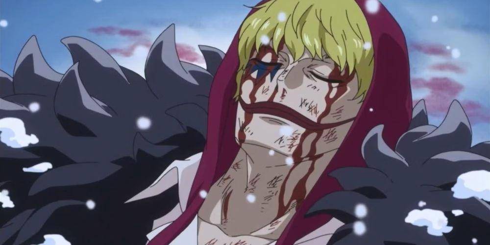 cuplikana anime One Piece episode 706 (dok. Eiichiro Oda, Toei Animation/One Piece)