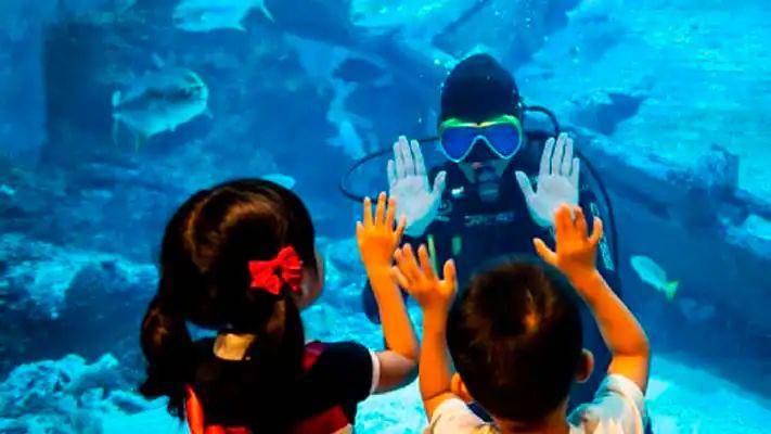 potret S.E.A. Aquarium (rwsentosa.com)
