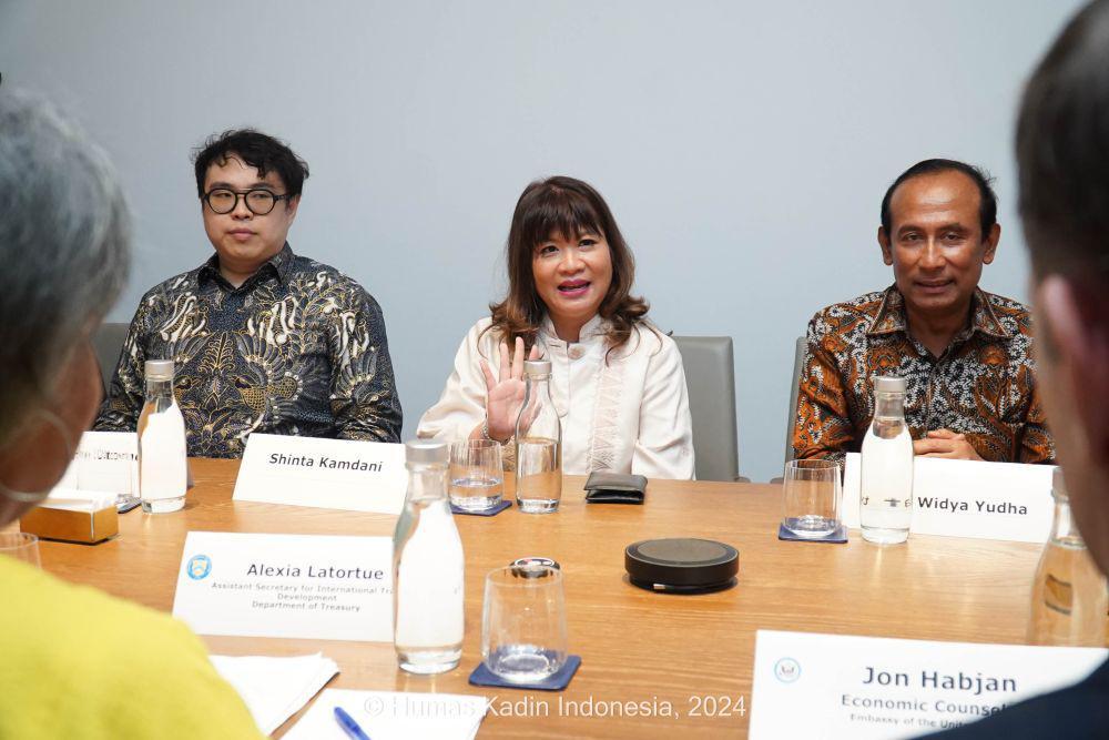 Kadin Bahas Investasi Energi Terbarukan dengan Asisten Menkeu AS