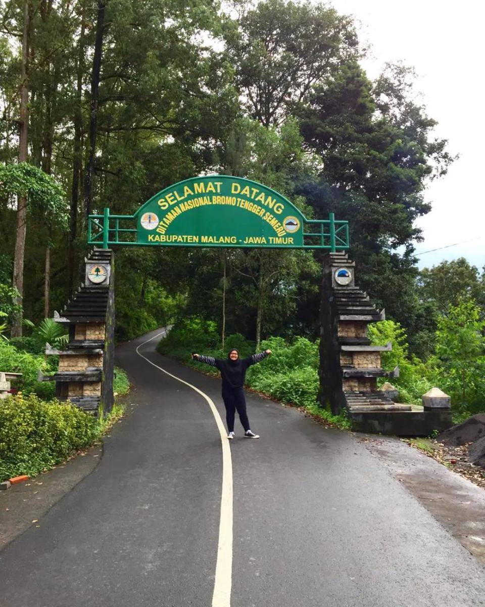 Gapura pintu masuk wisata gunung Bromo via Poncokusumo, Kabupaten Malang. Instagram/wandathalita13