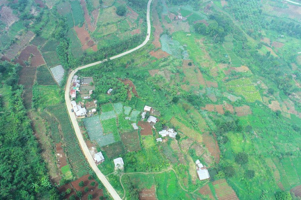 Reforma Agraria di Cianjur, Bank Tanah Sediakan 203 Hektare Lahan (IDN Times/istimewa)