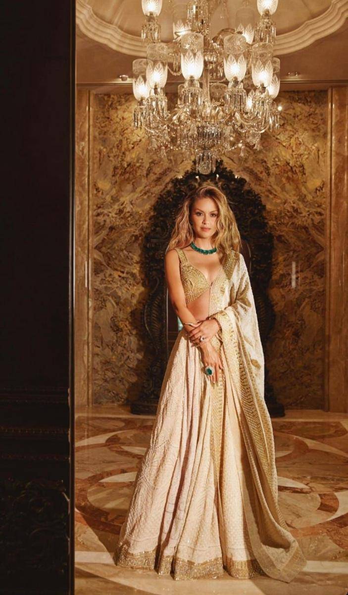 tamu di pernikahan Radhika Merchant (instagram.com/abujanisandeepkhosla)
