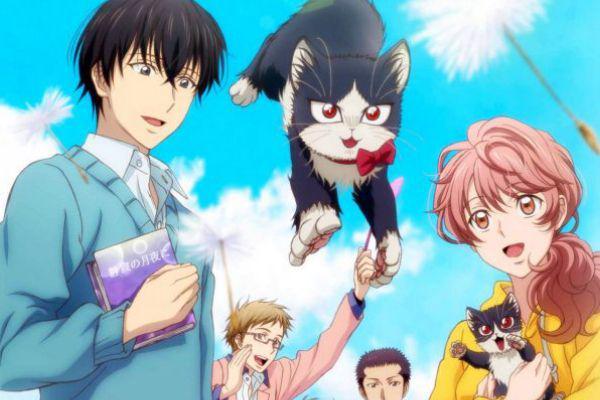 5 Rekomendasi Anime untuk Pencinta Kucing, Ceritanya Heartwarming