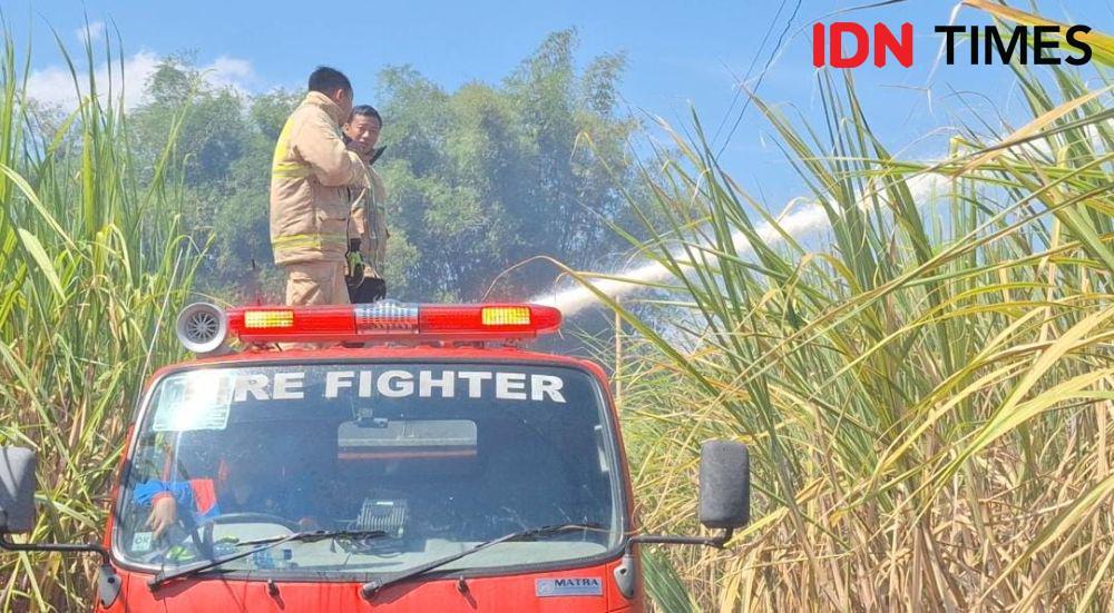 Lahan Tebu 10 Hektar Siap Panen di Magetan Ludes Terbakar