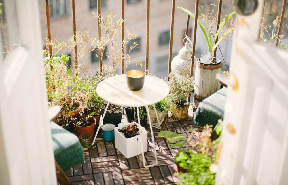 6 Langkah Sederhana untuk Menciptakan Positive Vibes di Rumah