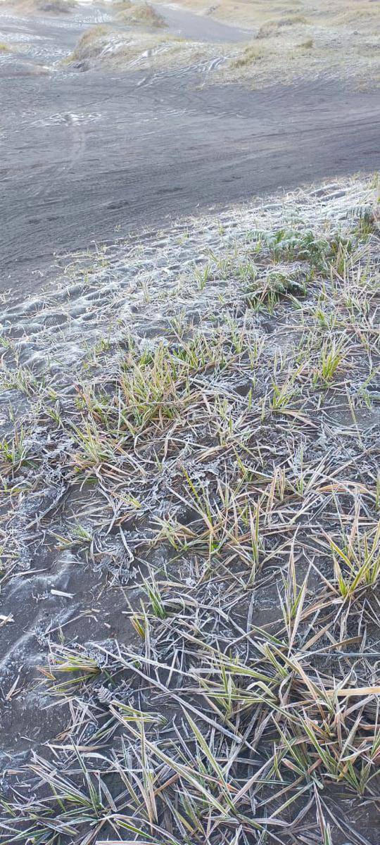 Fenomena frost atau embun upas di kawasan Gunung Bromo. (Dok. BB TNBTS)