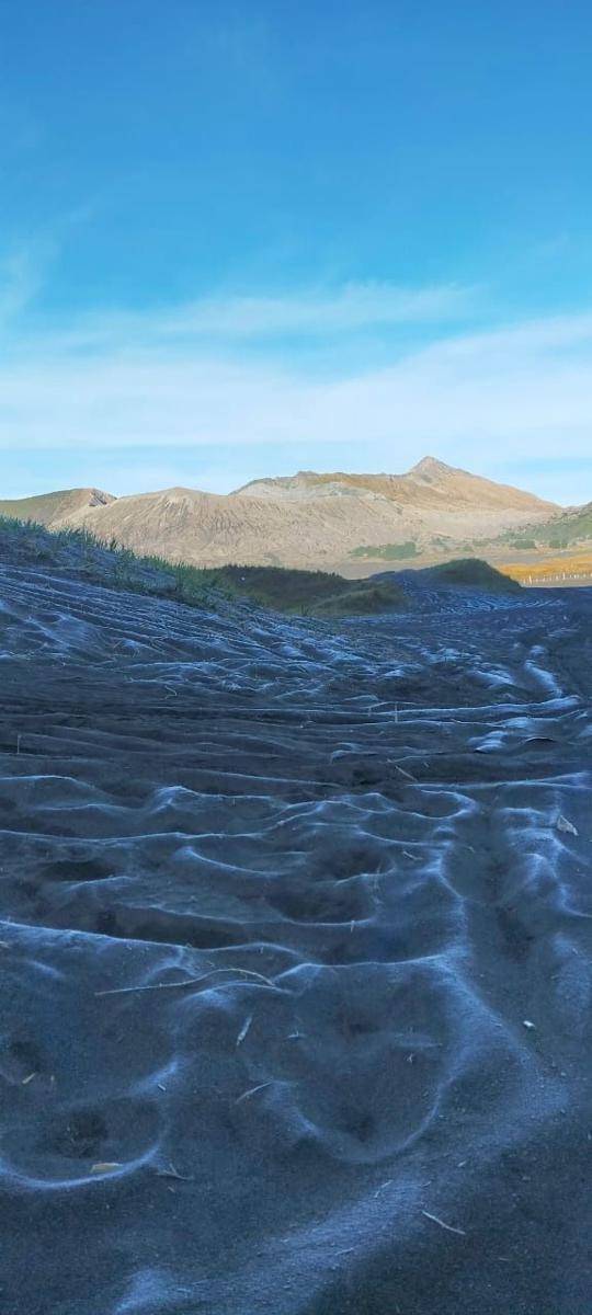 Fenomena frost atau embun upas di kawasan Gunung Bromo. (Dok. BB TNBTS)