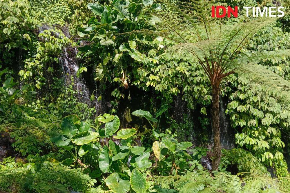 Air terjun Banyumala (IDN Times/Ayu Afria)