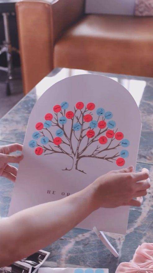 Gender Reveal Jharna Bhagwani (Instagram.com/jharnabhagwani)