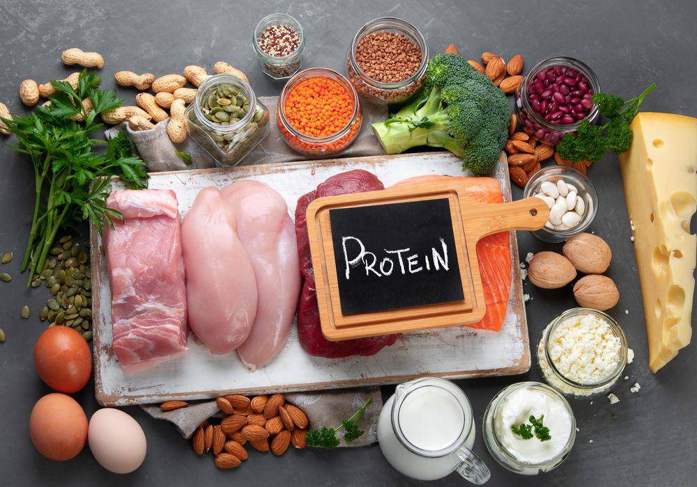 ilustrasi makanan berprotein tinggi (family.abbott)