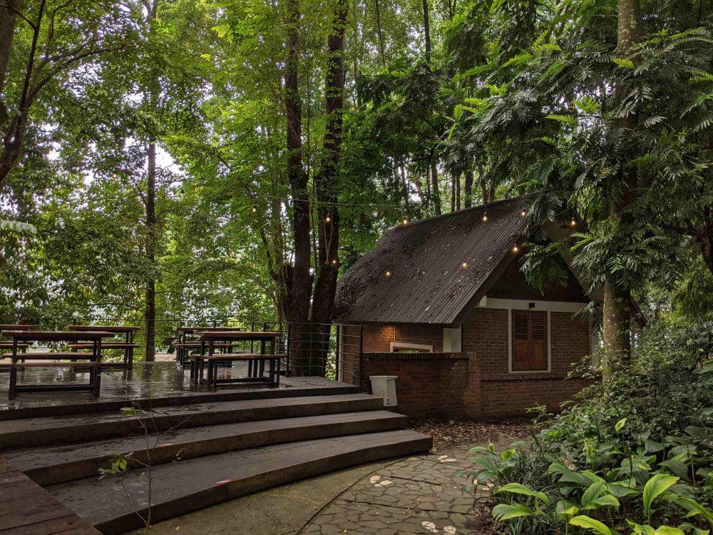 potret Taman Hutan Raya (google.com/maps/Arya yulianto)