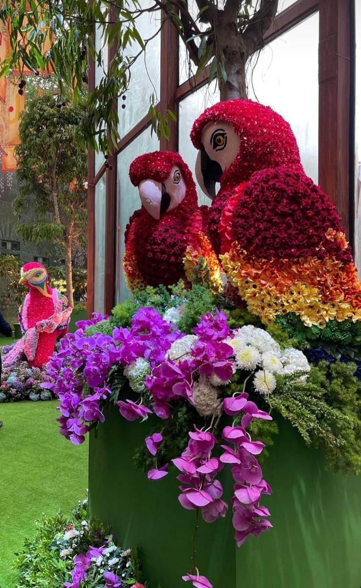 Dekorasi Resepsi Radhika Merchant-Anant Ambani (instagram.com/raniaayehia)