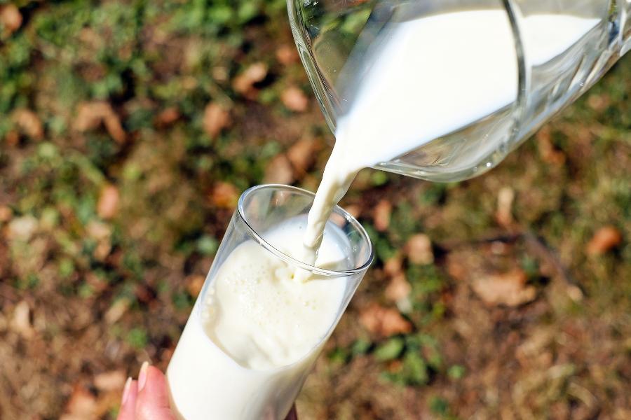 [QUIZ] Jenis Susu Ini Bisa Ungkap Sifat Aslimu Lho!