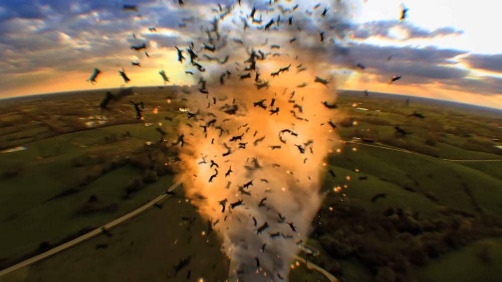 sinopsis film Catnado (dok. Wild Eye Releasing/Catnado)
