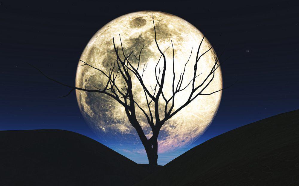 3 Fakta Buck Moon, Bulan Tanduk Rusa pada 21 Juli 2024