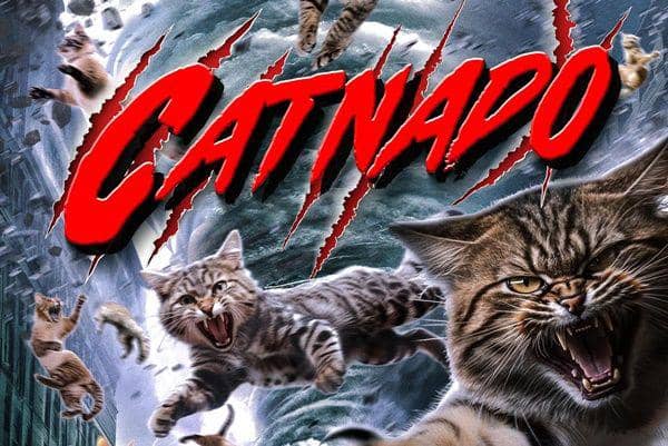 Sinopsis Film Catnado, Film Kucing yang Trailer-nya Viral