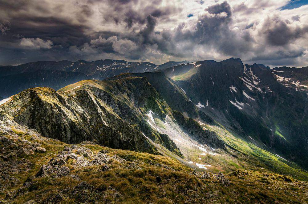 Taman Nasional Carpathian, Rumania (pexels.com/Dan Badiu)