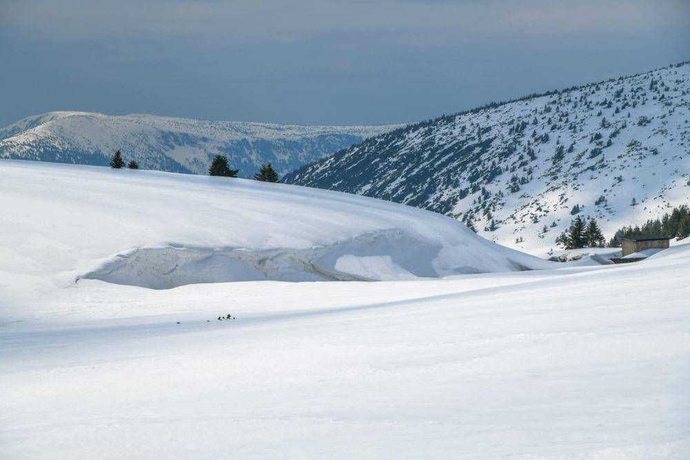 Taman Nasional Krkonoše, Republik Ceko (pexels.com/Atanas Milanov)
