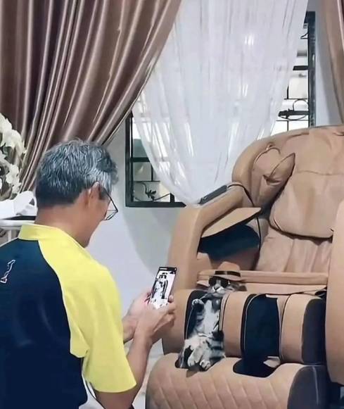potret lucu kucing bersama kakek (instagram.com/disturbingzone)