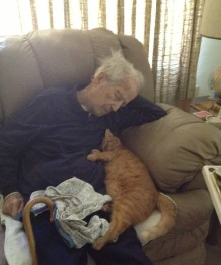 potret lucu kucing bersama kakek (reddit.com/tyjack)