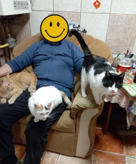 potret lucu kucing bersama kakek (reddit.com/dutuzane)