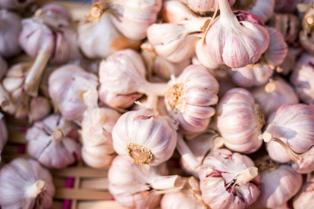 ilustrasi bawang putih (unsplash.com/team voyas)