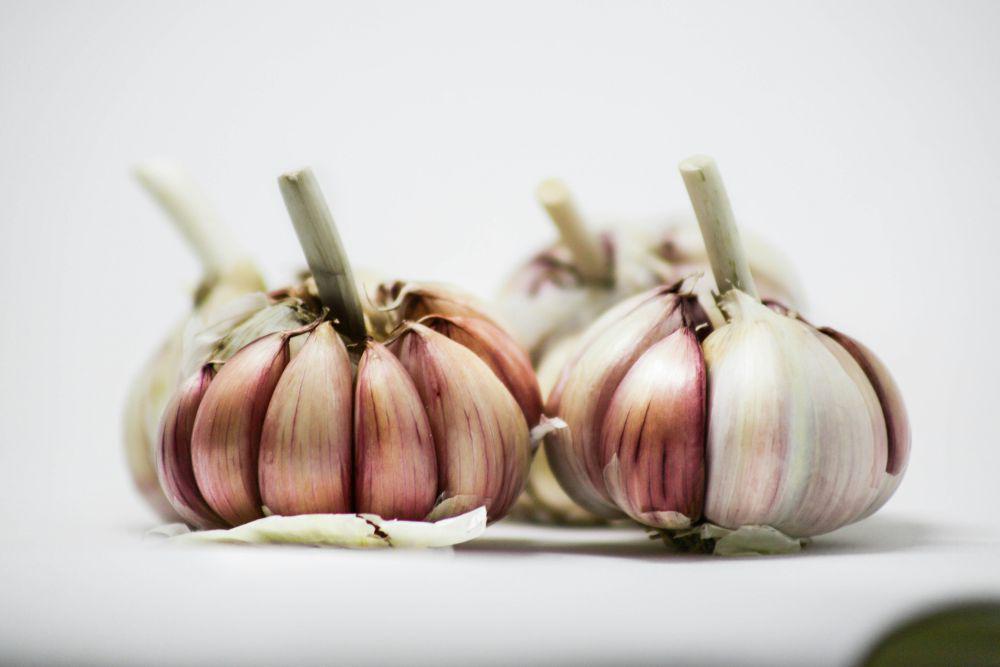 ilustrasi bawang putih (unsplash.com/Fernañdo Prado)
