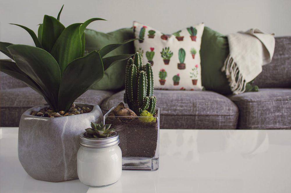 ilustrasi dekorasi rumah (pexels.com/Designecologist