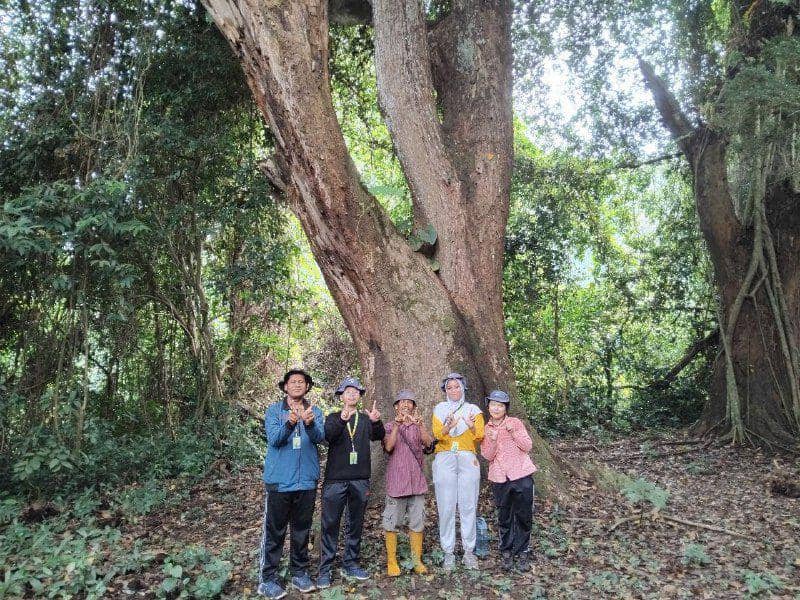 Mitos Onggoloco di Balik Pelestarian Hutan Wonosadi Gunung Kidul