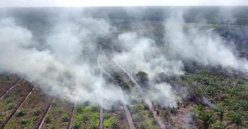 Semai Garam di 3 Kabupaten, BPBD Harap Karhutla Bisa Diminimalisir