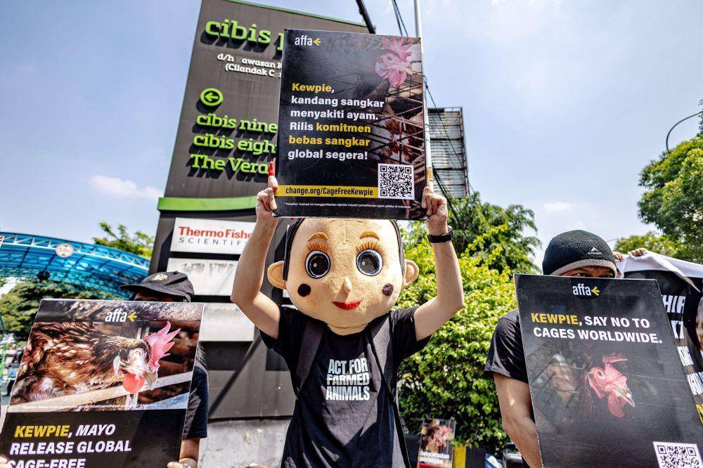Kewpie Didesak Adopsi Kebijakan Telur Bebas Sangkar Global