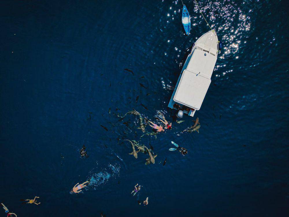 Maladewa (unsplash.com/Arif Rasheed)