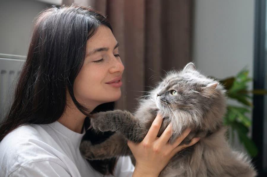 Kenapa Kucing Suka Menjilati Wajah Kita? Ini 7 Alasannya