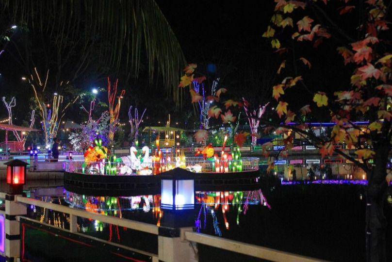 Rainbow Alamanda (instagram.com/rainbowvillage_)
