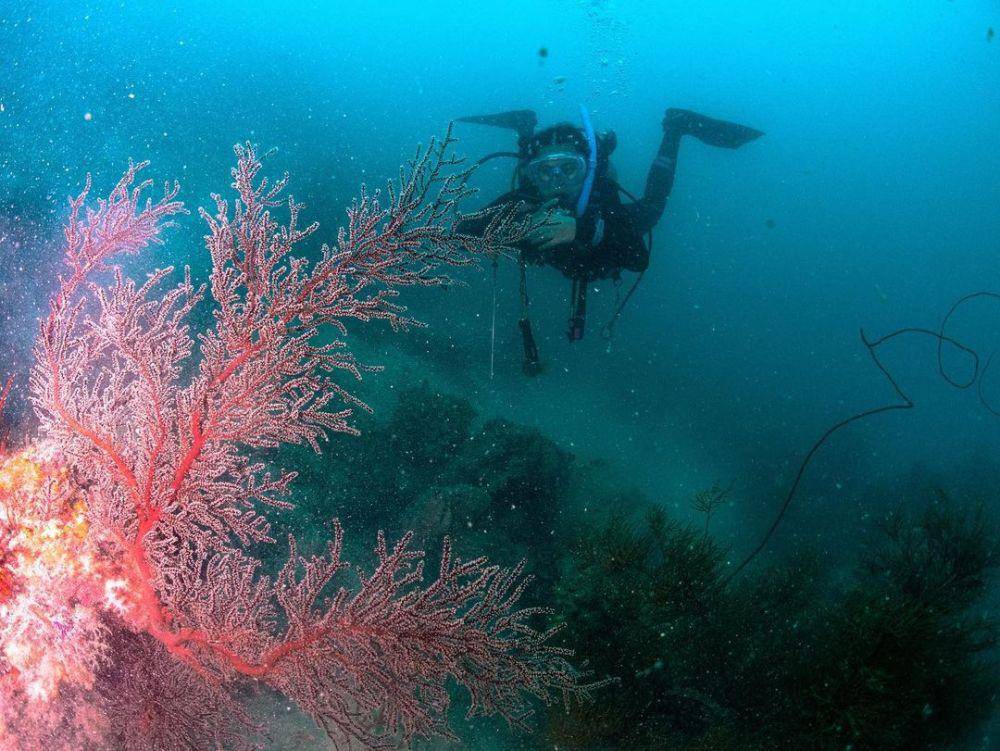 Pulau Pramuka (instagram.com/litasapitri)