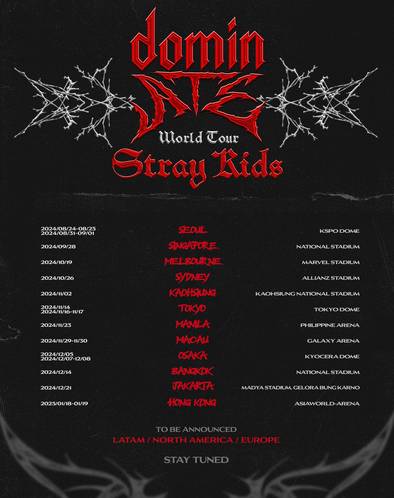 Stray Kids (x.com/Stray_Kids)