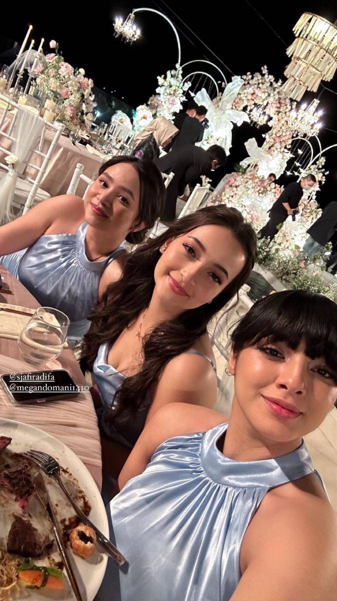 potret tamu artis di resepsi pernikahan Salshabilla Adriani (instagram.com/megandomani1410)