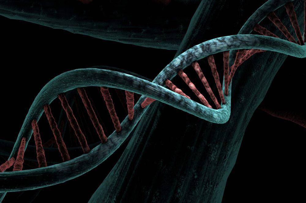 ilustrasi DNA (pixabay.com/Mirerek8)